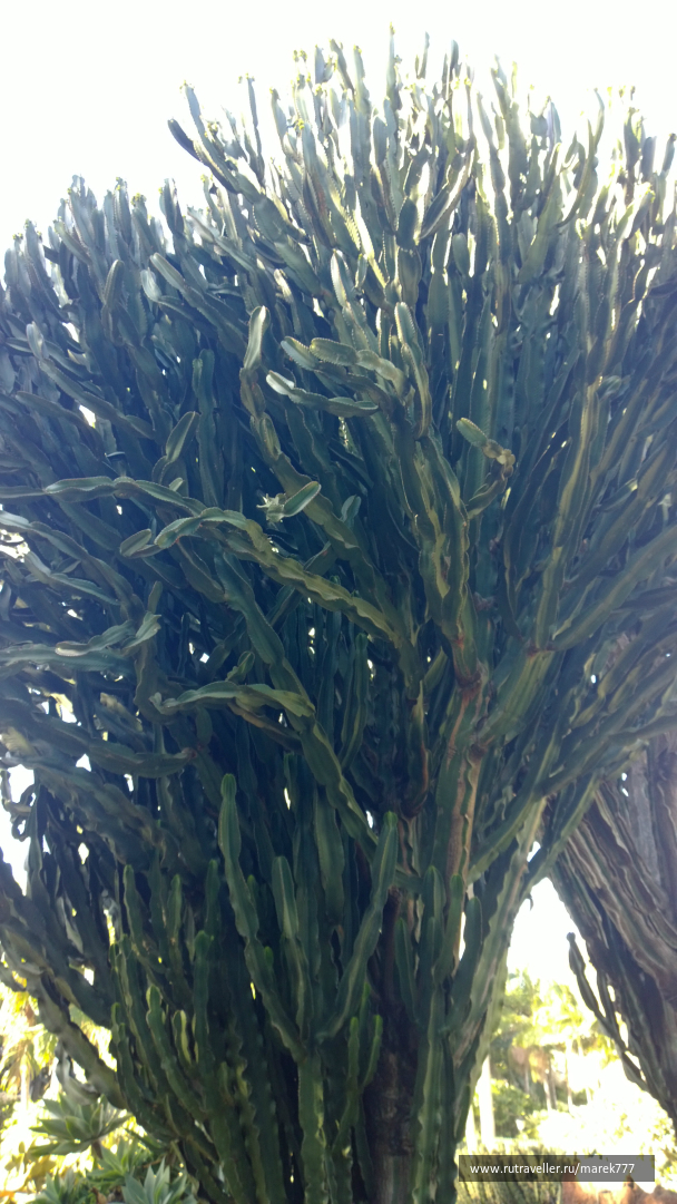 photo 636346