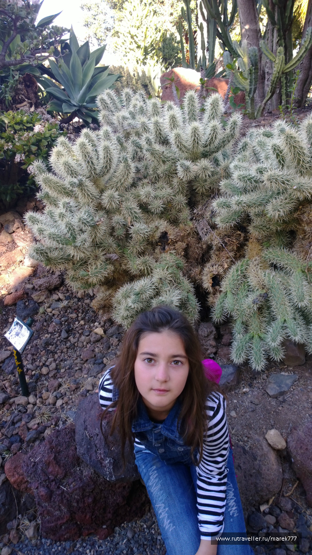 photo 636347