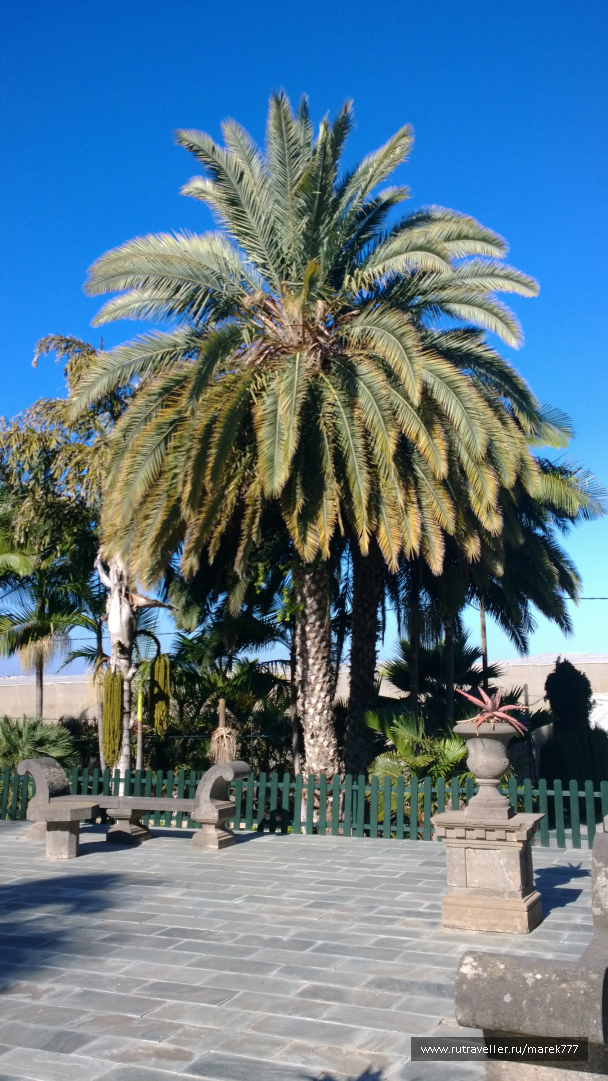 photo 636350