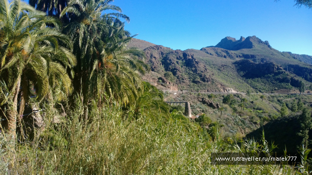 photo 636351