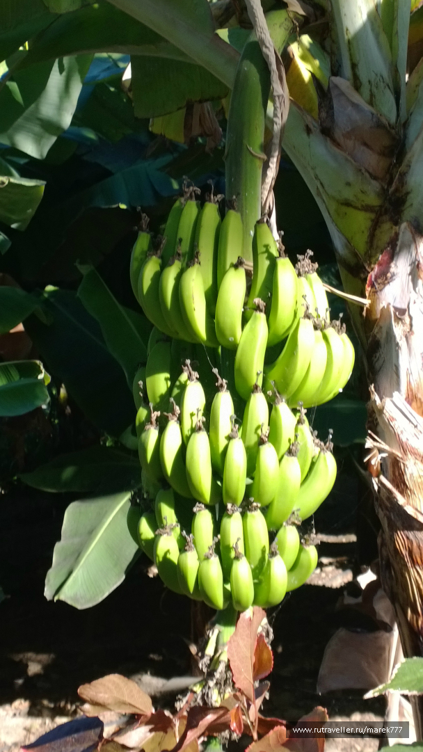 photo 636356