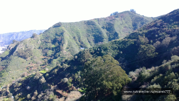 photo 636360