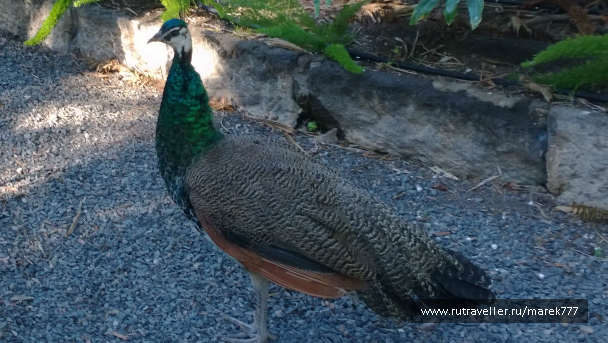 photo 636362