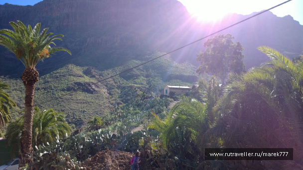 photo 636370