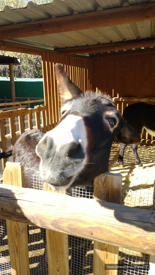 photo 636371