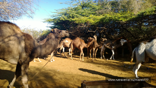 photo 636378