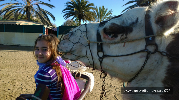 photo 636379