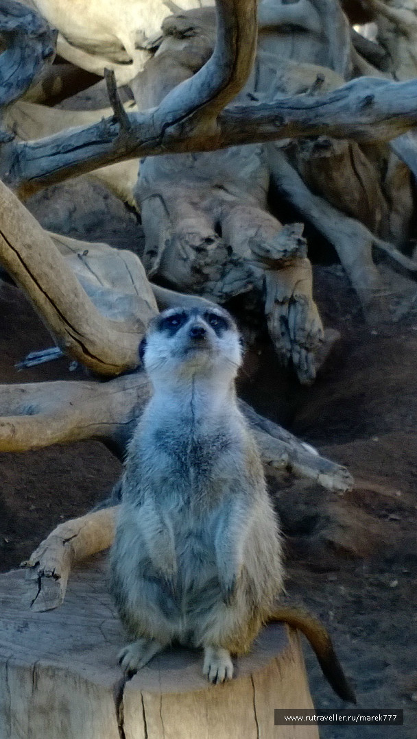 photo 637494