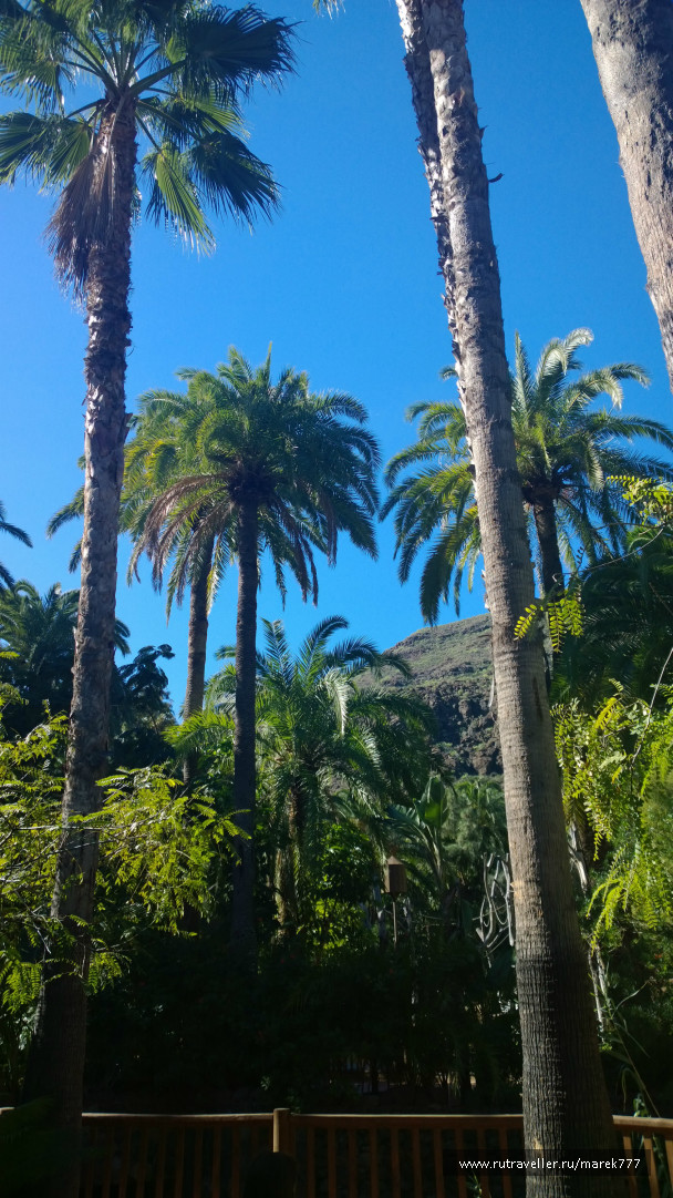 photo 637505
