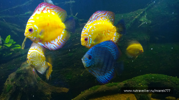 photo 637508