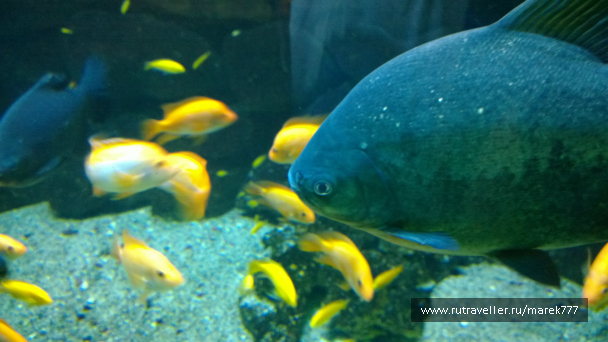 photo 637509