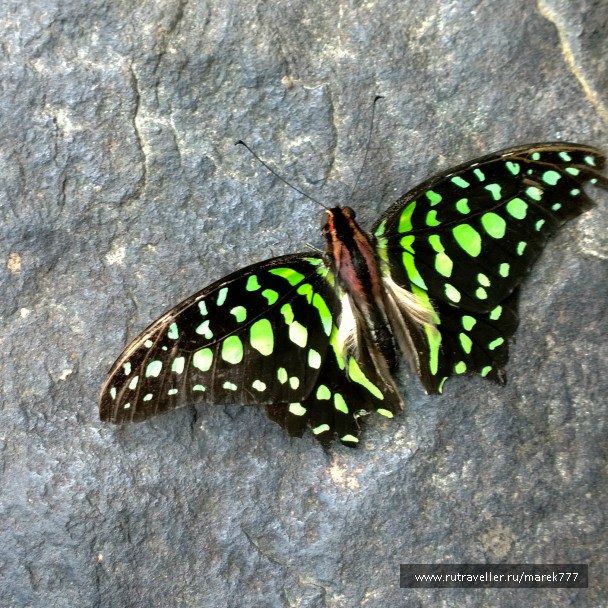 photo 637512