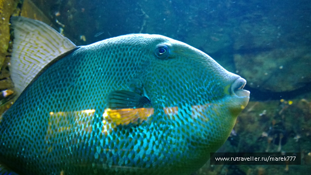 photo 637513