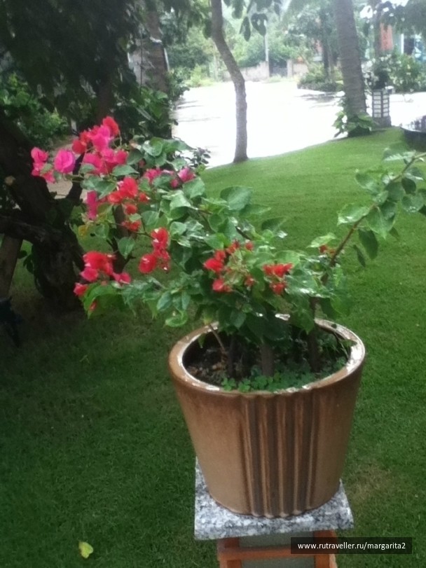 photo 611883