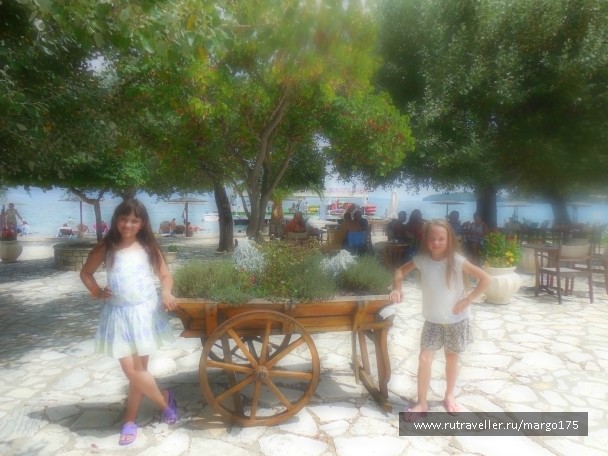 photo 919694