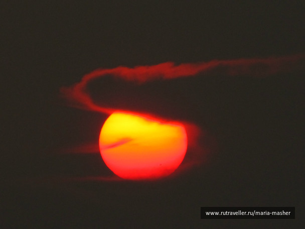 photo 258393