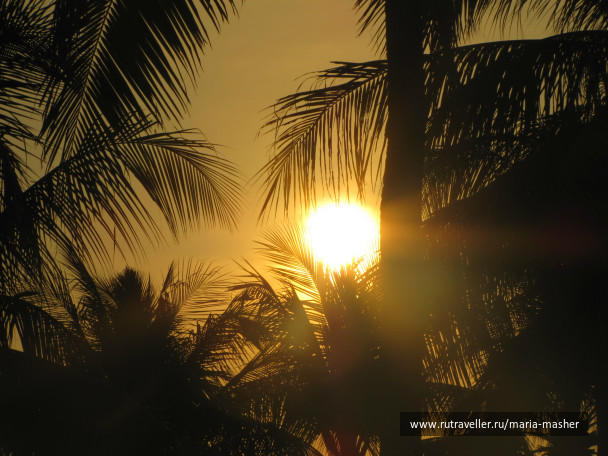 photo 258395