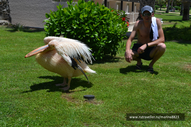 photo 707182