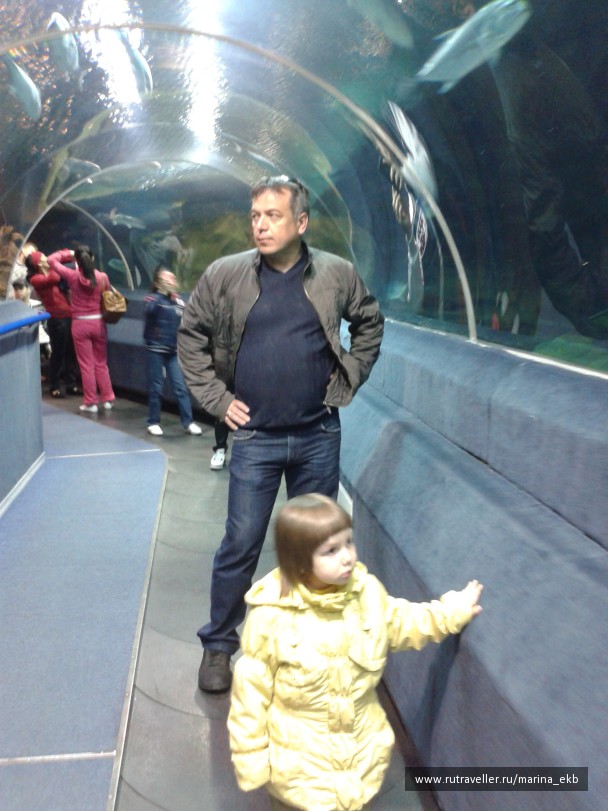 photo 469606