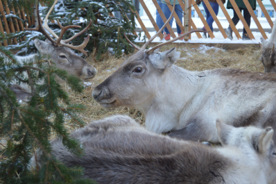 photo 1204412