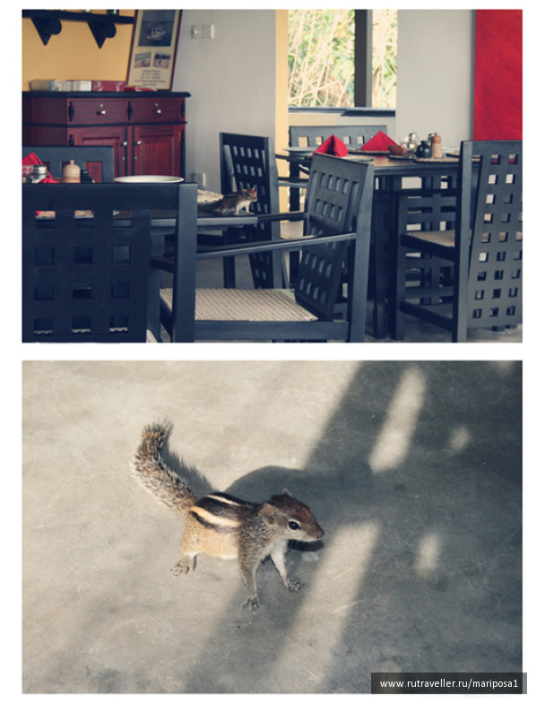 photo 119402