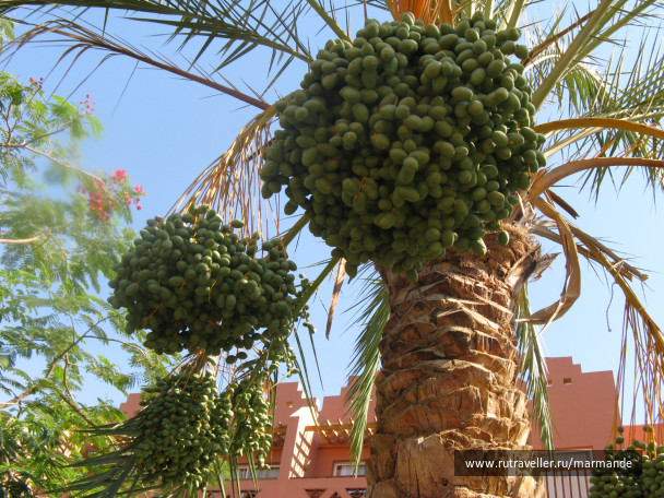 photo 427232