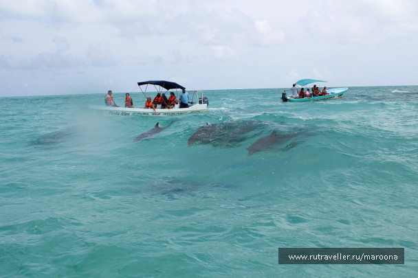 photo 263814