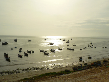 photo 265424