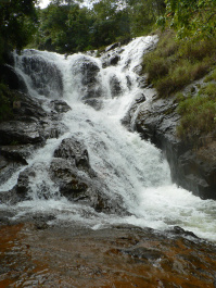 photo 265427