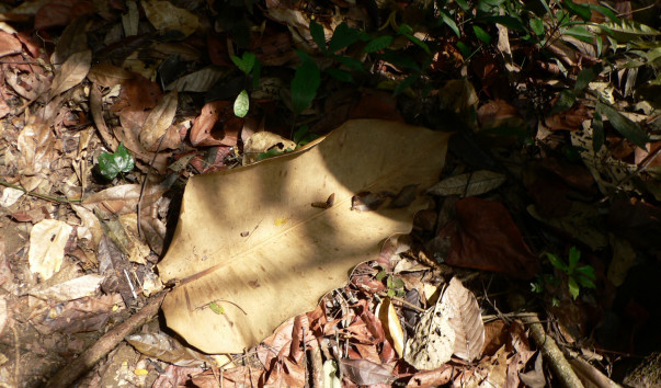 P1140405