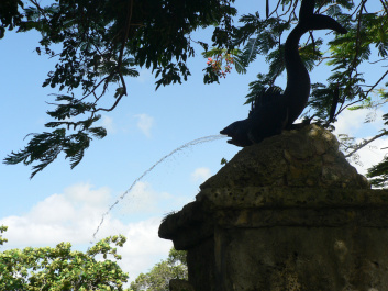 photo 275907