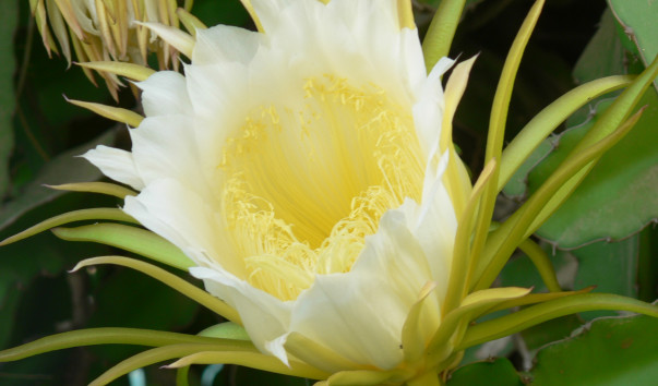P1110669