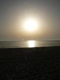 photo 277137