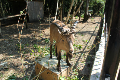 photo 455176