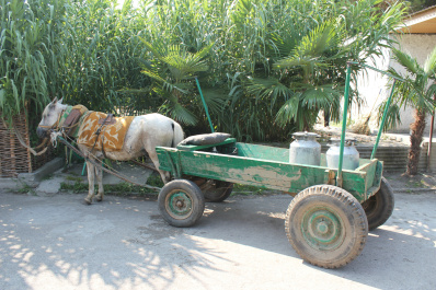 photo 455178