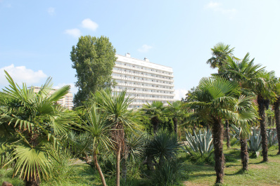 photo 455179