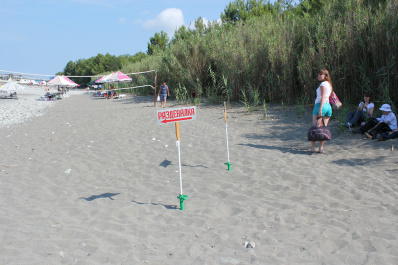 photo 455181