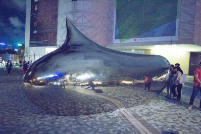 photo 768314