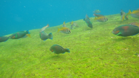 photo 967956