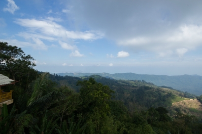 photo 968013