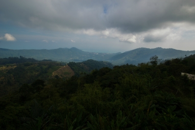 photo 968015