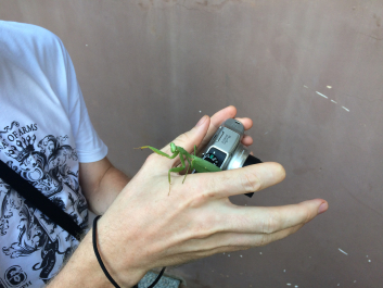 photo 1103870