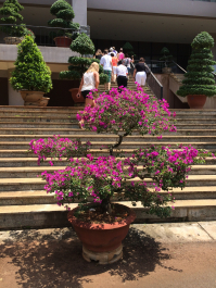 photo 1103871