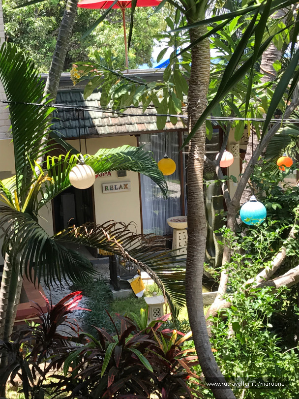 photo 1411562