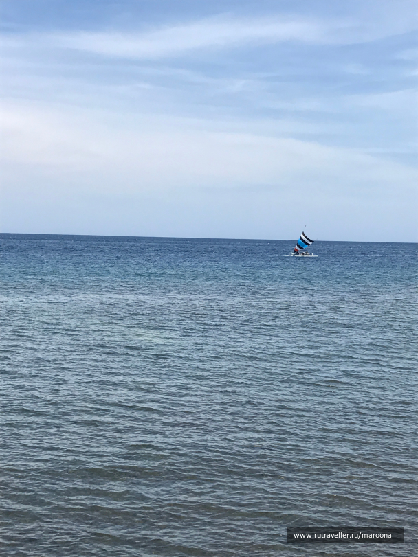 photo 1411566