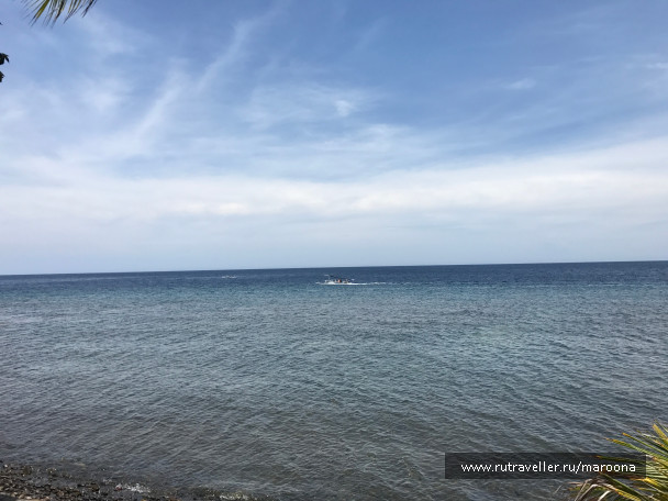 photo 1411568