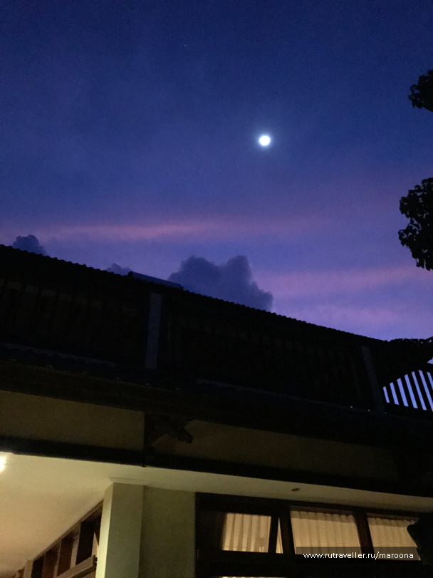photo 1411570