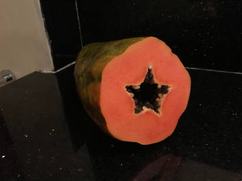 photo 1411571
