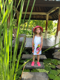 photo 1411572