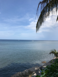photo 1411573
